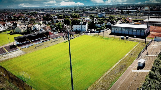 尼克斯豪取 尼克斯豪取