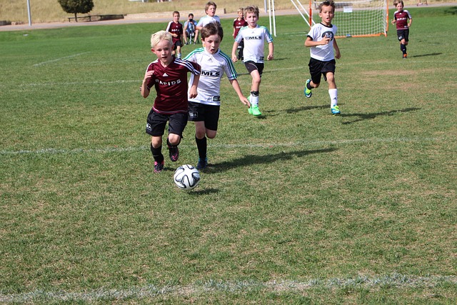 小将席尔瓦 小将席尔瓦