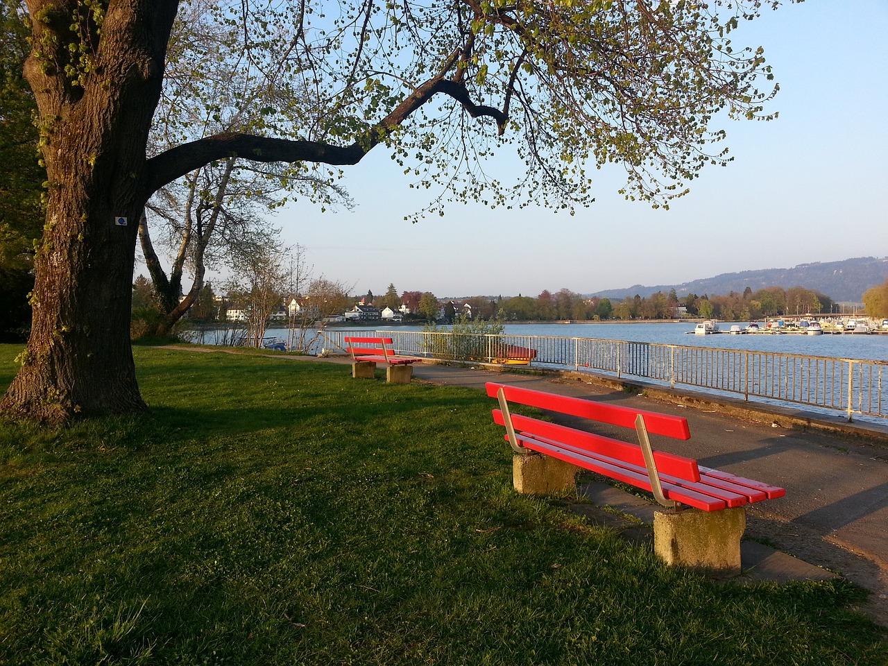 这一消息不 这一消息不