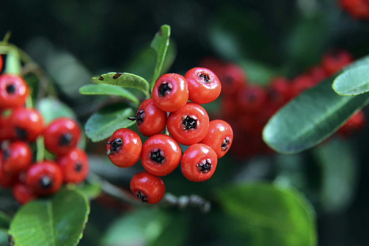 他們無疑會 他們無疑會