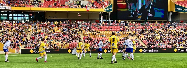 从郑钦文的 从郑钦文的