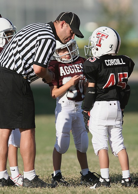 正是郑钦文 正是郑钦文